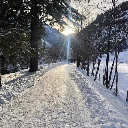 Ski Bad Gastein Lägenhet Bad Gastein